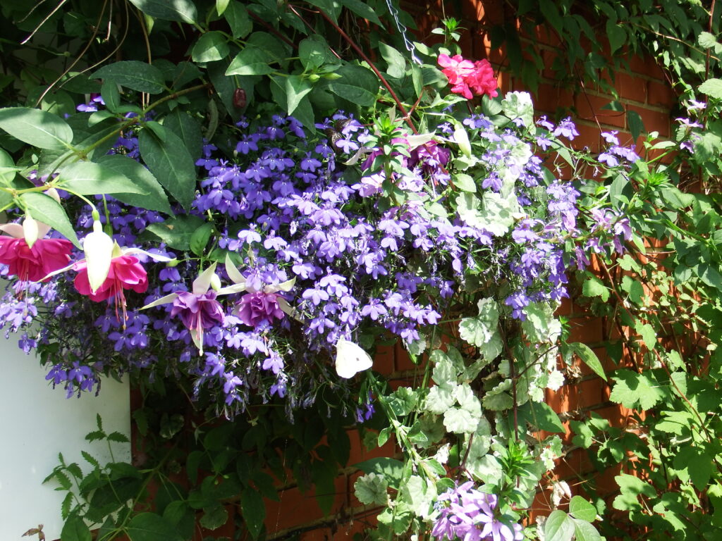 Image gallery image